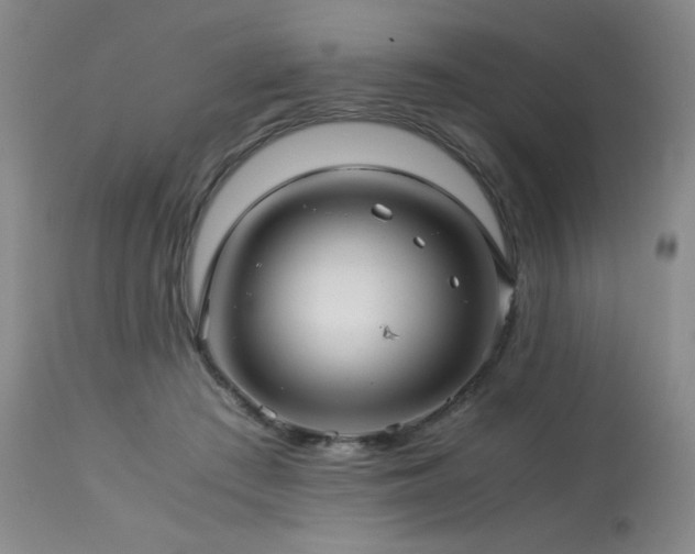 X0000114010409200910021347