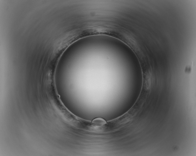 X0000114010410200910021347