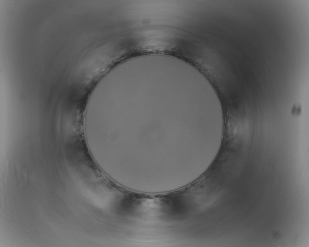 X0000114010411200910021347