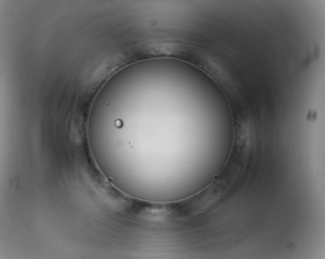X0000114010414200910021347