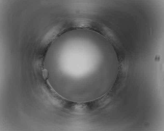 X0000114010415200910021347