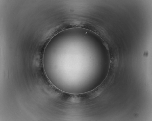 X0000114010416200910021347