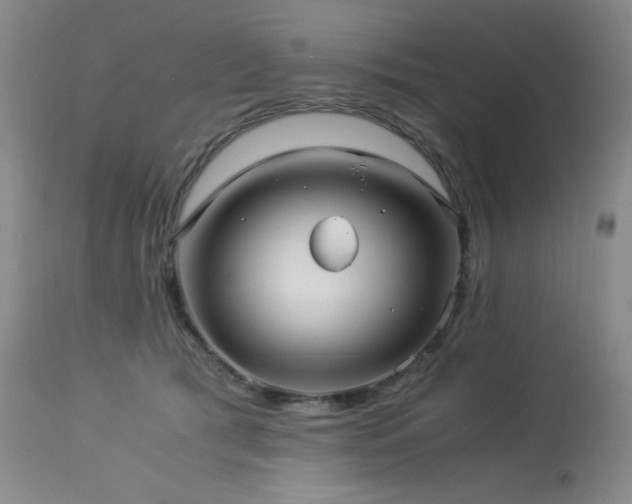 X0000114010417200910021347