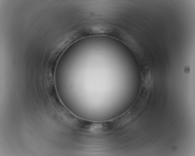 X0000114010418200910021347