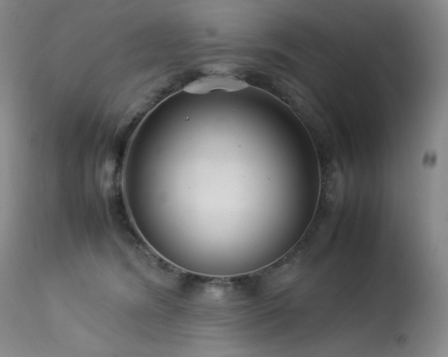X0000114010420200910021347