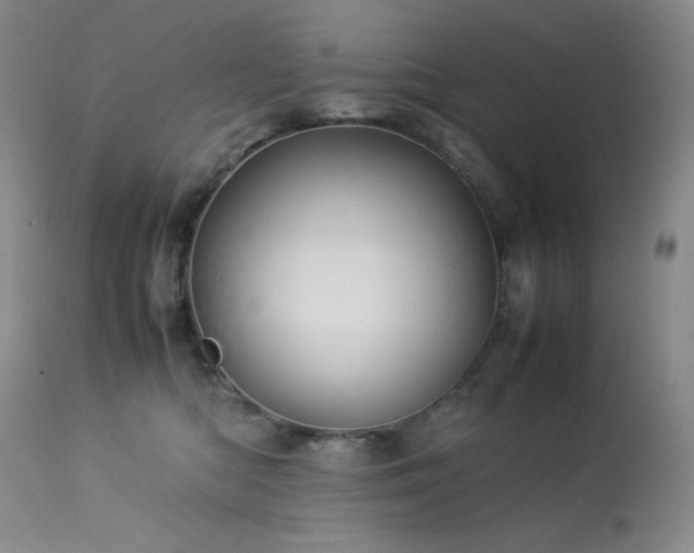 X0000114010422200910021347