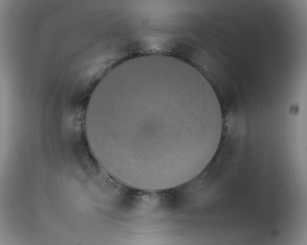 X0000114010423200910021347
