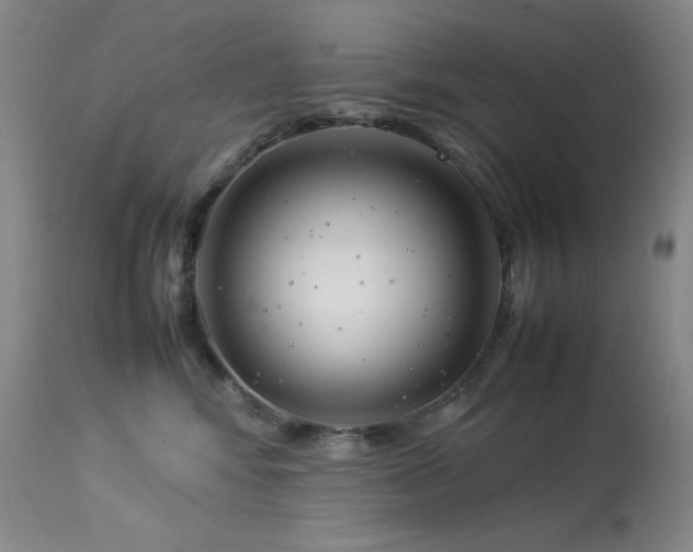 X0000114010424200910021347