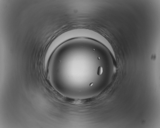 X0000114010425200910021347