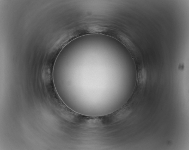 X0000114010426200910021347
