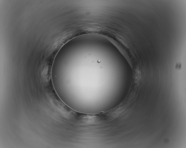X0000114010428200910021347