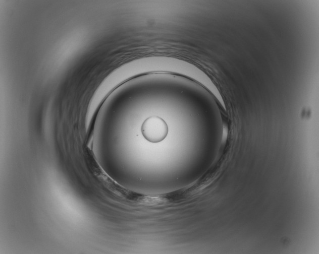 X0000114010429200910021347