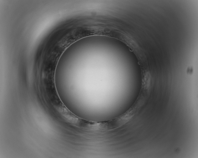 X0000114010430200910021346