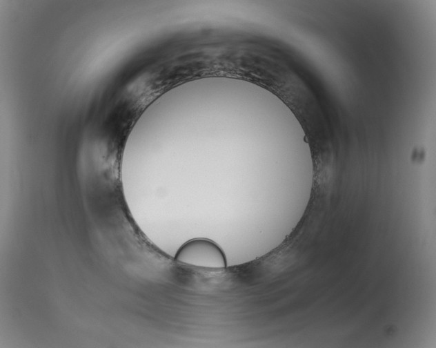 X0000114010431200910021346