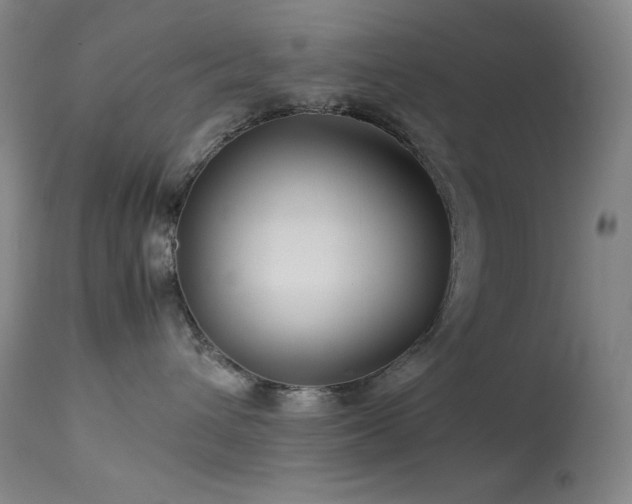 X0000114010432200910021346
