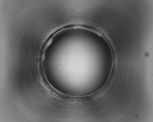 X0000114010434200910021346