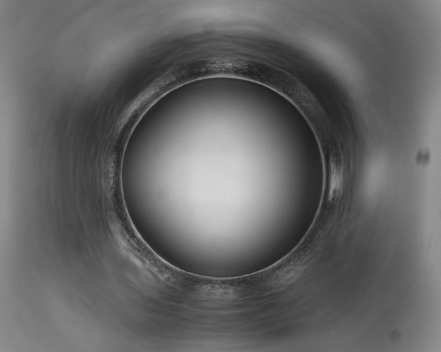 X0000114010435200910021346