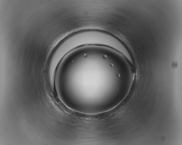 X0000114010436200910021346