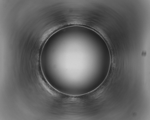X0000114010437200910021346