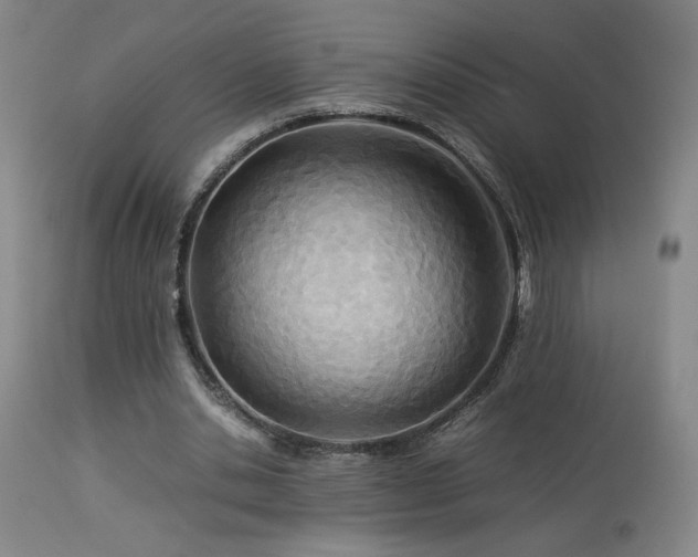 X0000114010438200910021346