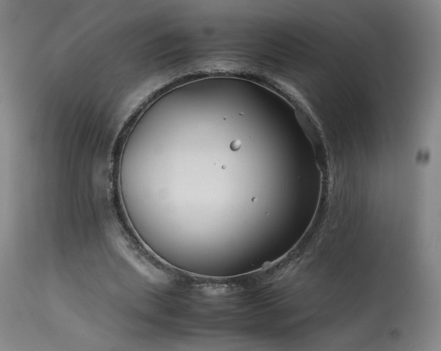 X0000114010439200910021346