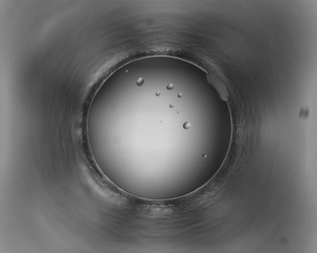 X0000114010443200910021346