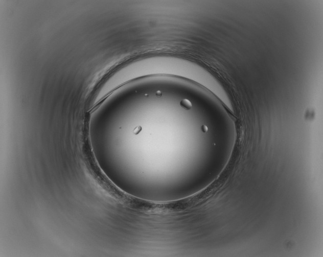 X0000114010444200910021346