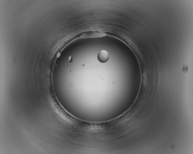 X0000114010445200910021346