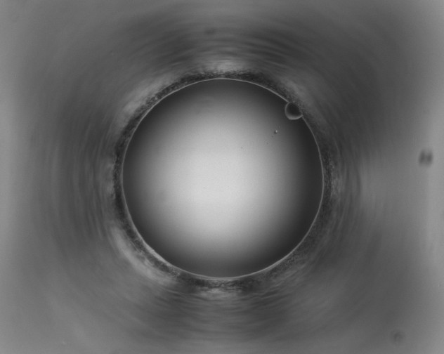 X0000114010447200910021346