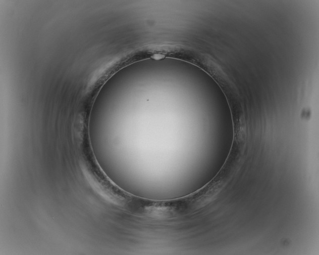 X0000114010448200910021346