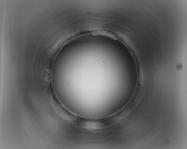 X0000114010449200910021346