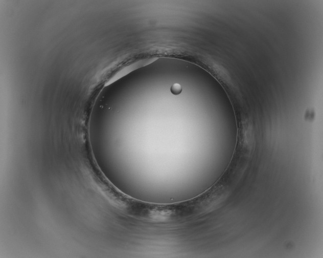 X0000114010450200910021346