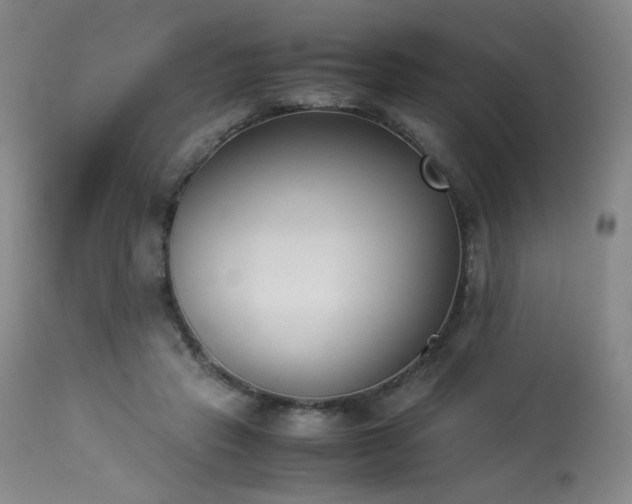 X0000114010453200910021346