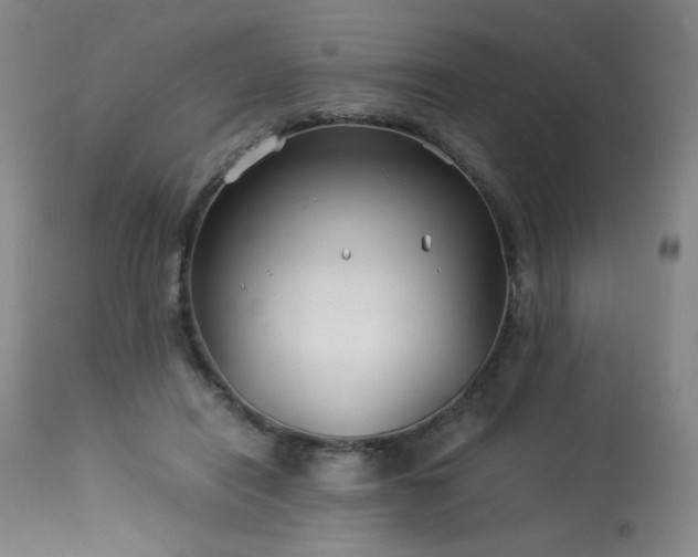 X0000114010454200910021346