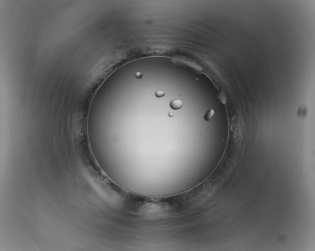 X0000114010455200910021346