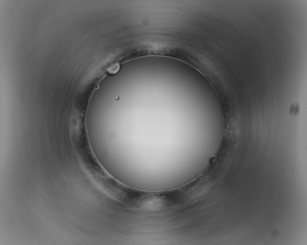 X0000114010456200910021346