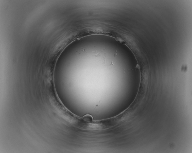 X0000114010457200910021346