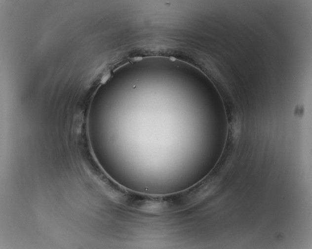 X0000114010458200910021346