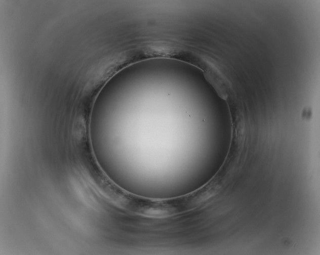 X0000114010459200910021346