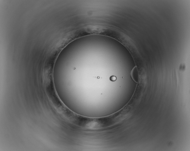 X0000114010460200910021346