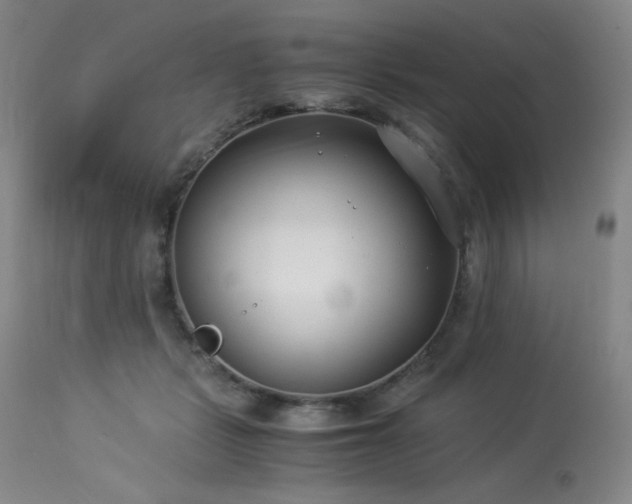 X0000114010461200910021346