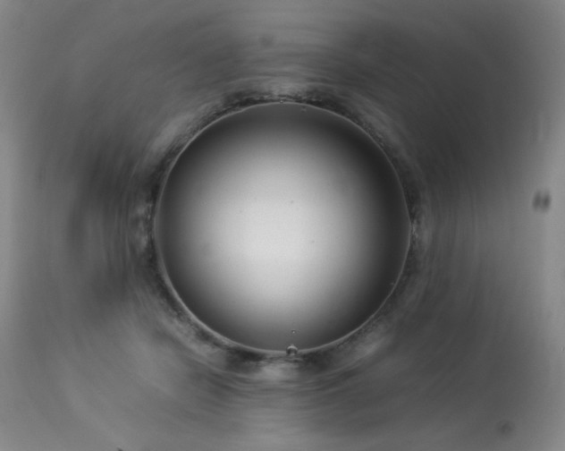 X0000114010462200910021346