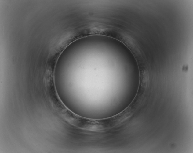 X0000114010463200910021346