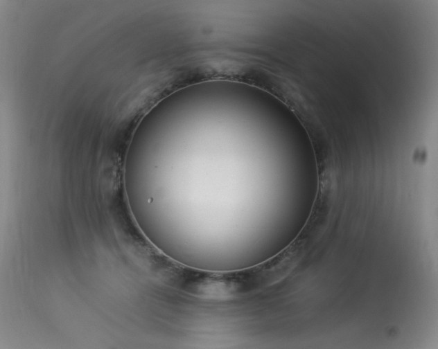 X0000114010464200910021346