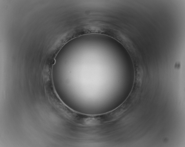 X0000114010465200910021346