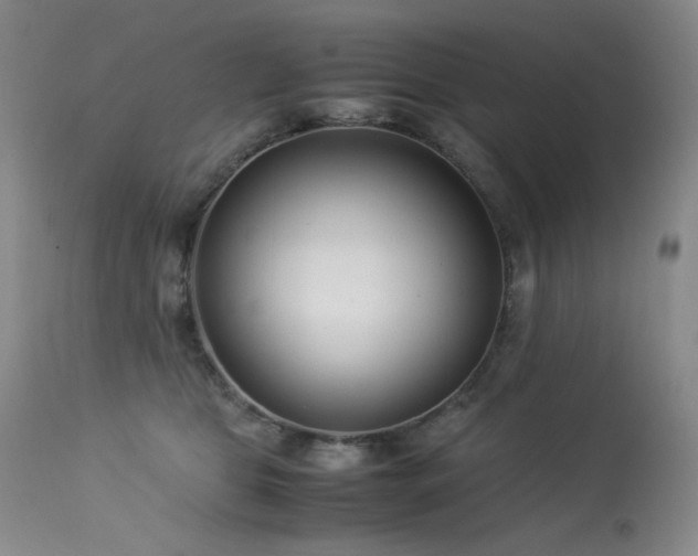 X0000114010469200910021346