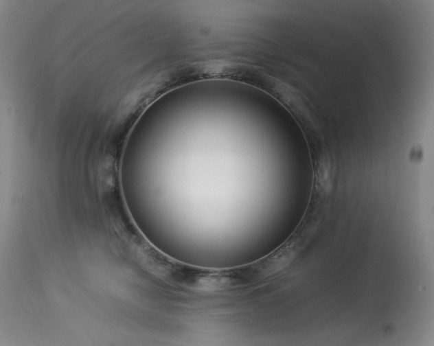X0000114010470200910021346