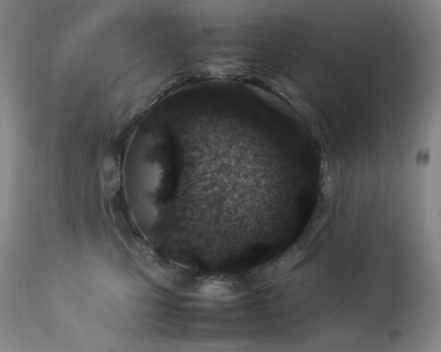 X0000114010471200910021346