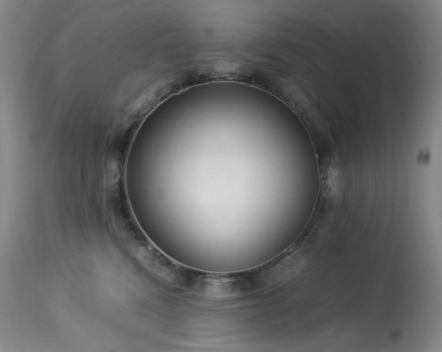 X0000114010472200910021346