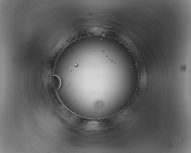 X0000114010473200910021346
